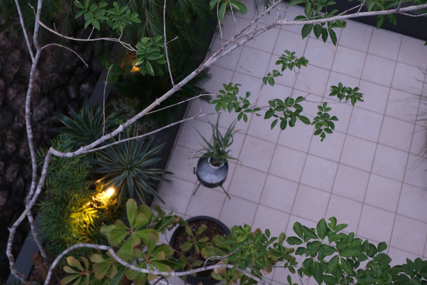 宝塚 タイルテラス ガーデン ライティング