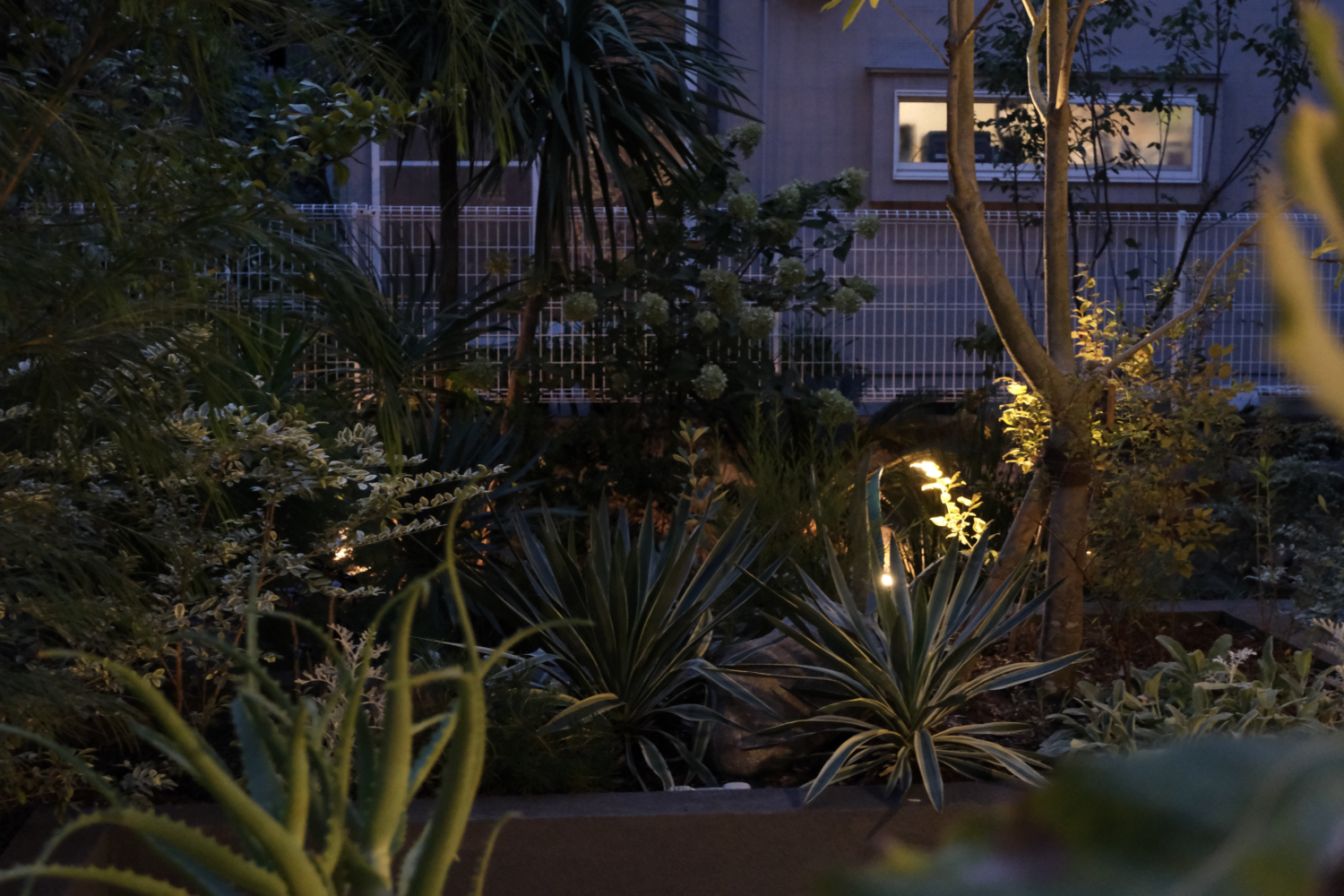 宝塚 タイルテラス ガーデン ライティング