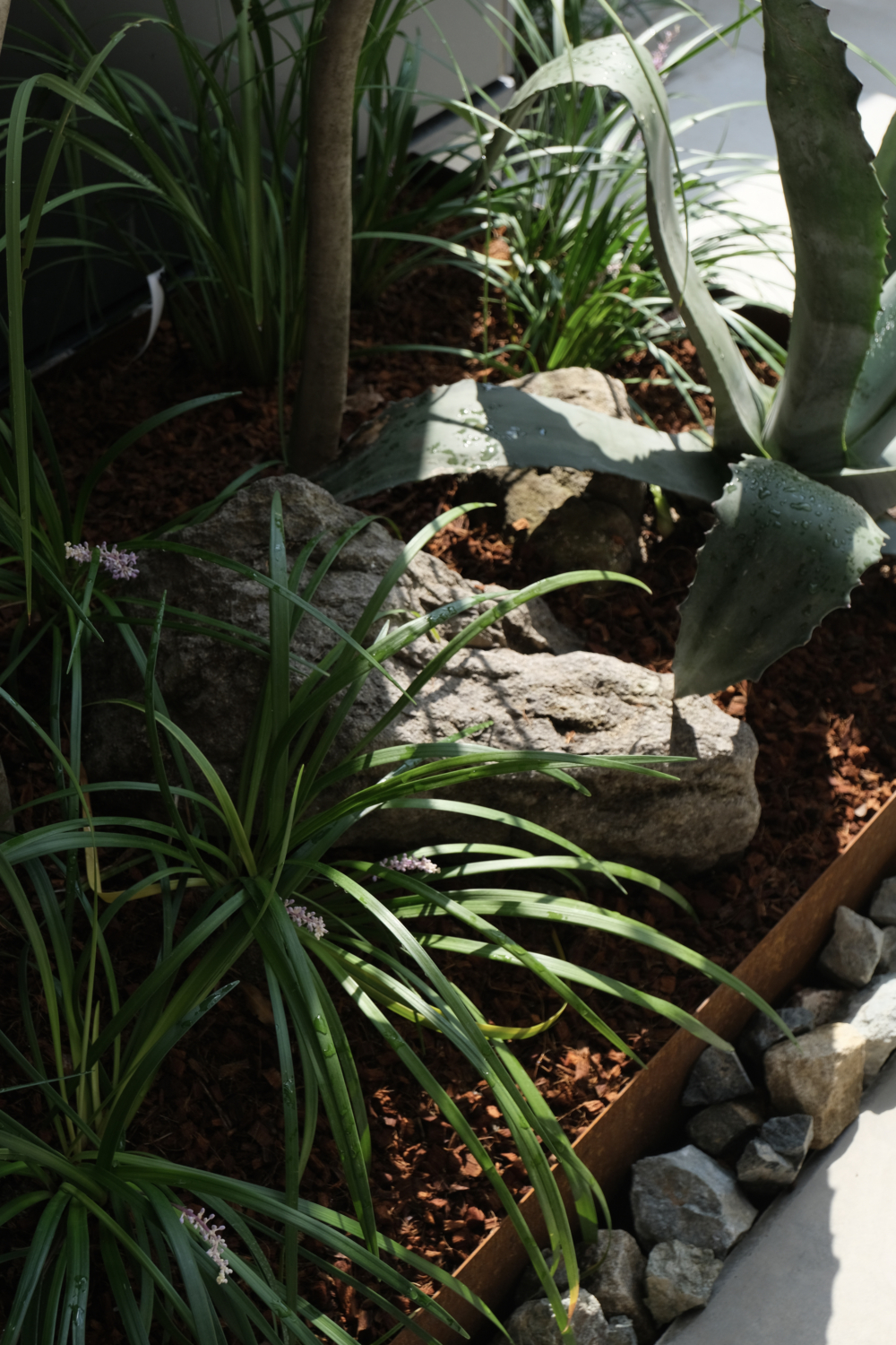  豊中市 狭小地住宅で緑のある暮らし 