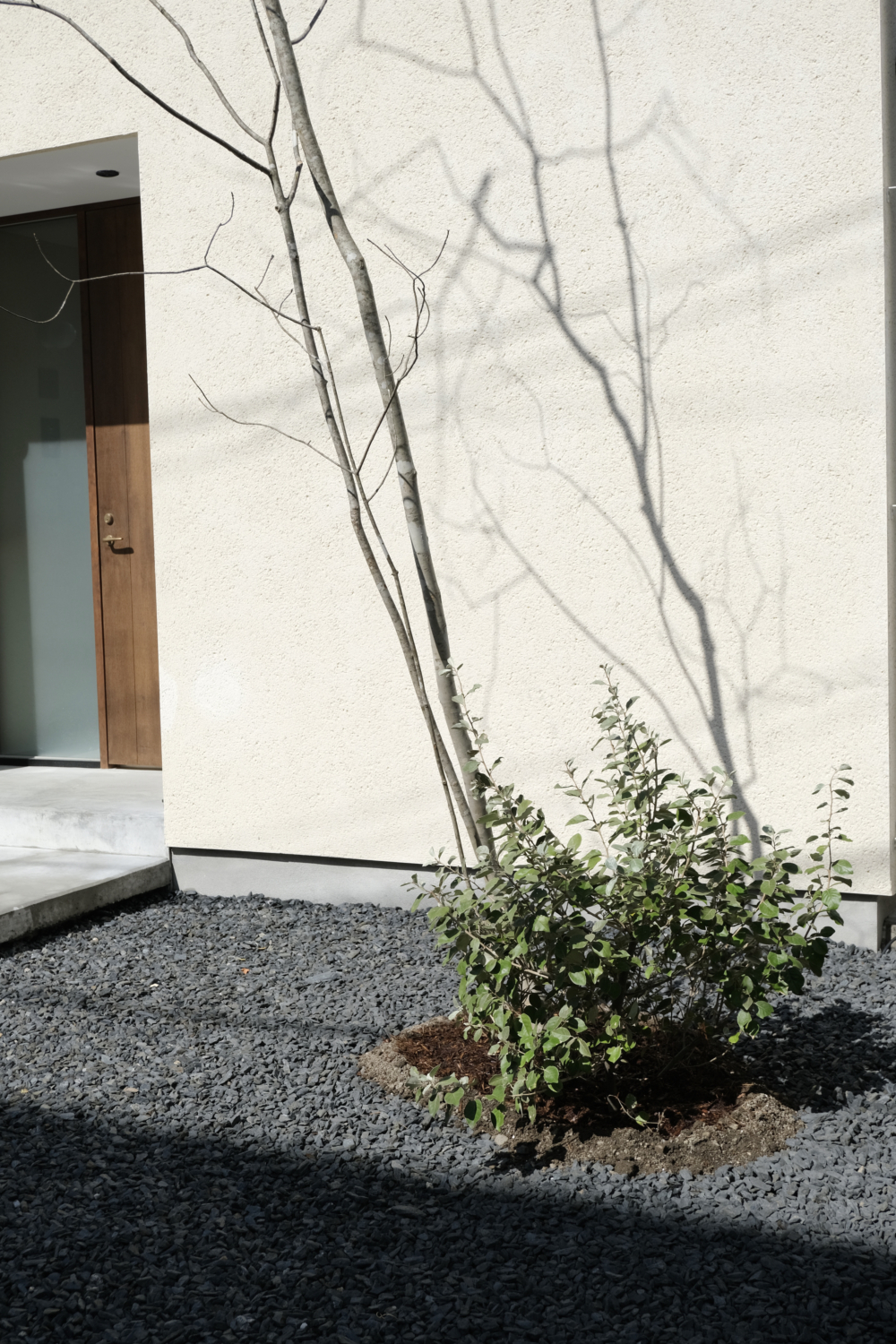 高槻市 光と影のエクステリア＆ガーデン