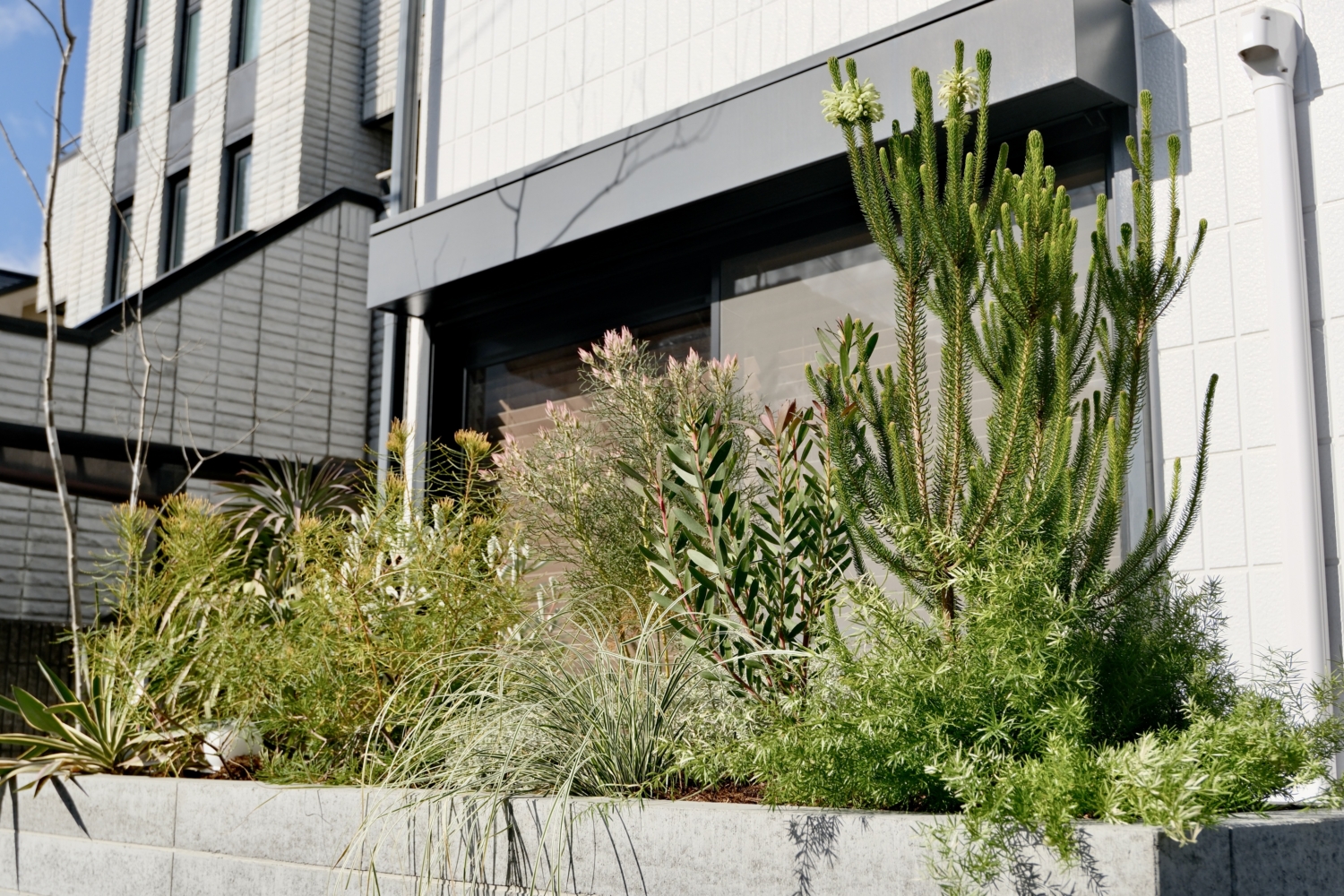 狭小地住宅のリフォームエクステリア