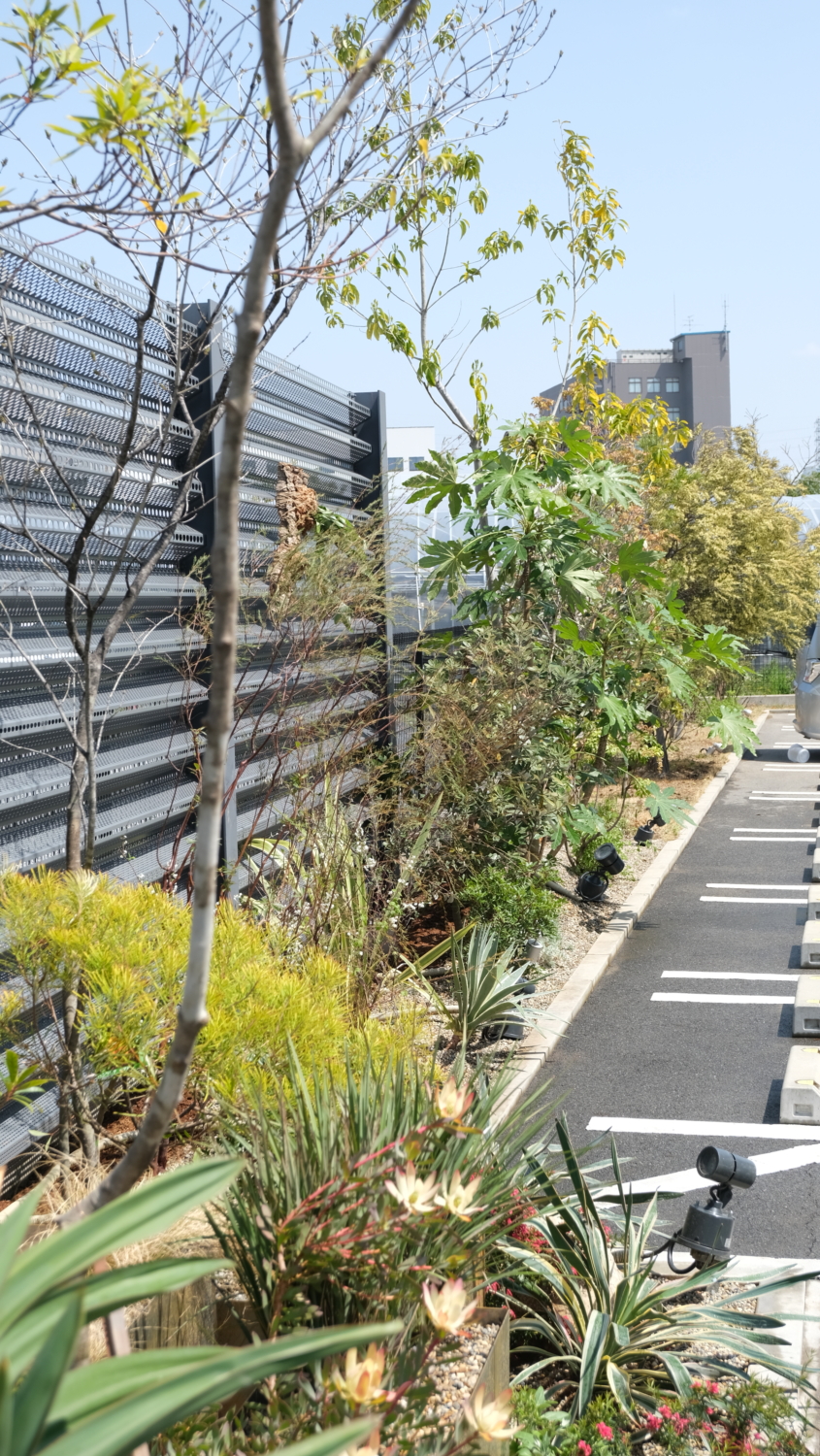 コールテン鋼　ガーデンデザイン　オフィス緑化