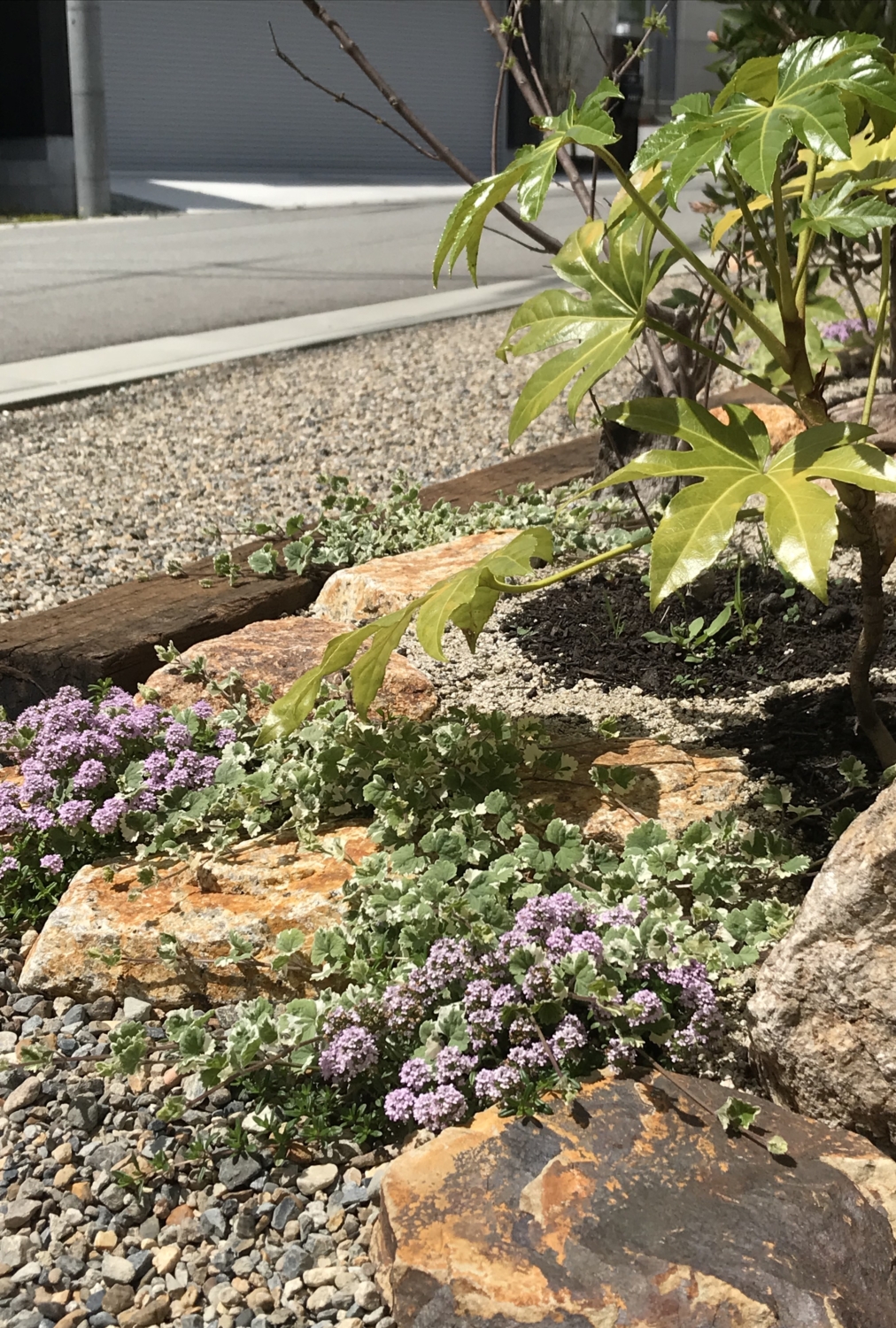 大阪　箕面市 ラフスタイル ガーデンデザイン