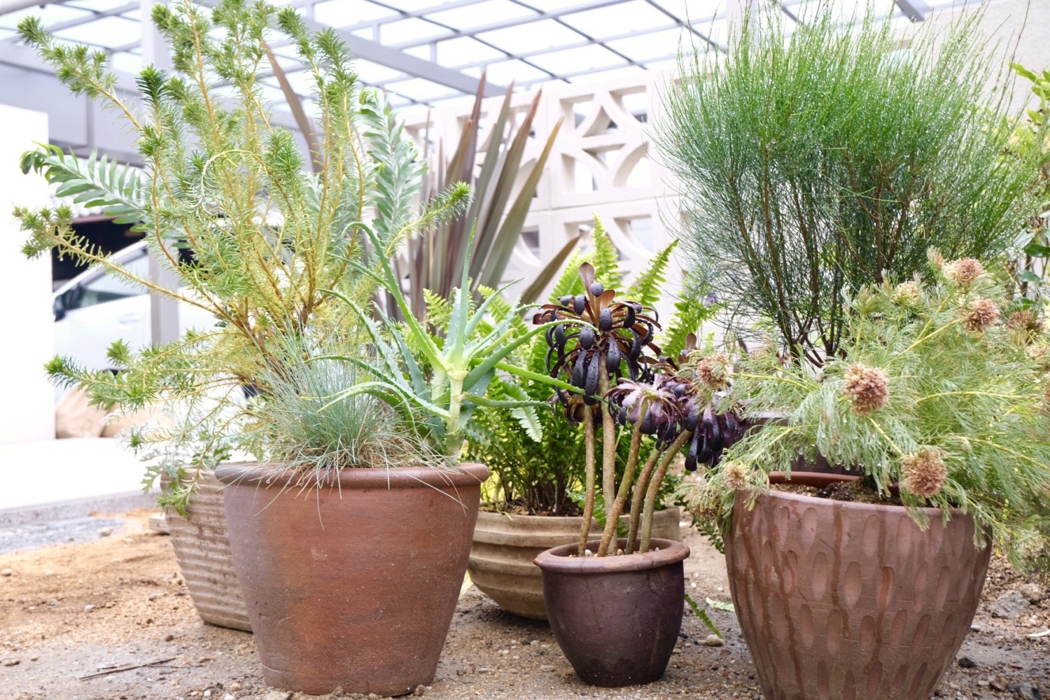 岸和田市 ホテルライク ドライガーデン