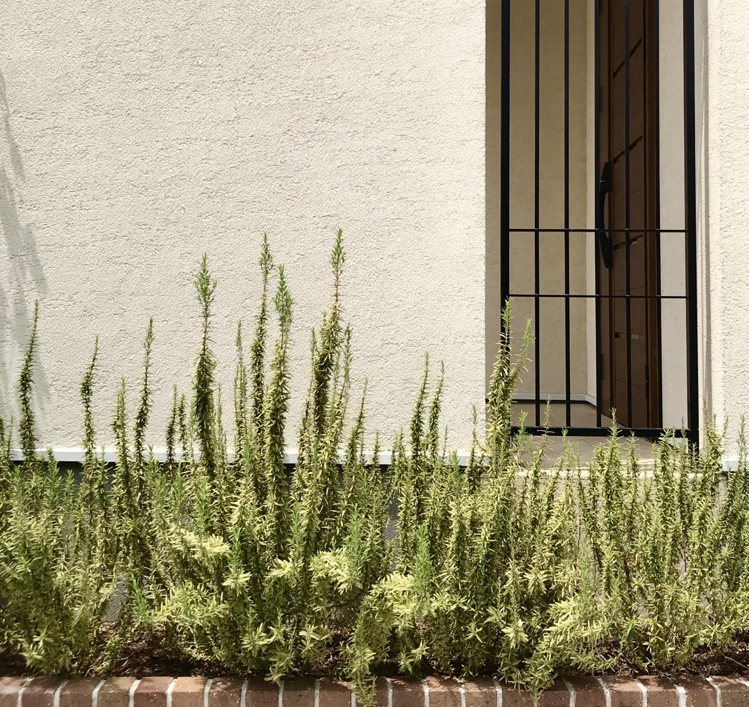 芦屋市 木製電動ゲート エントランス