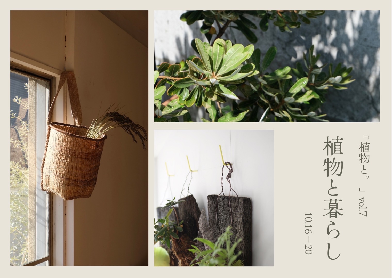 【NEWS】イベント出展のお知らせ - the ROOTs design studio