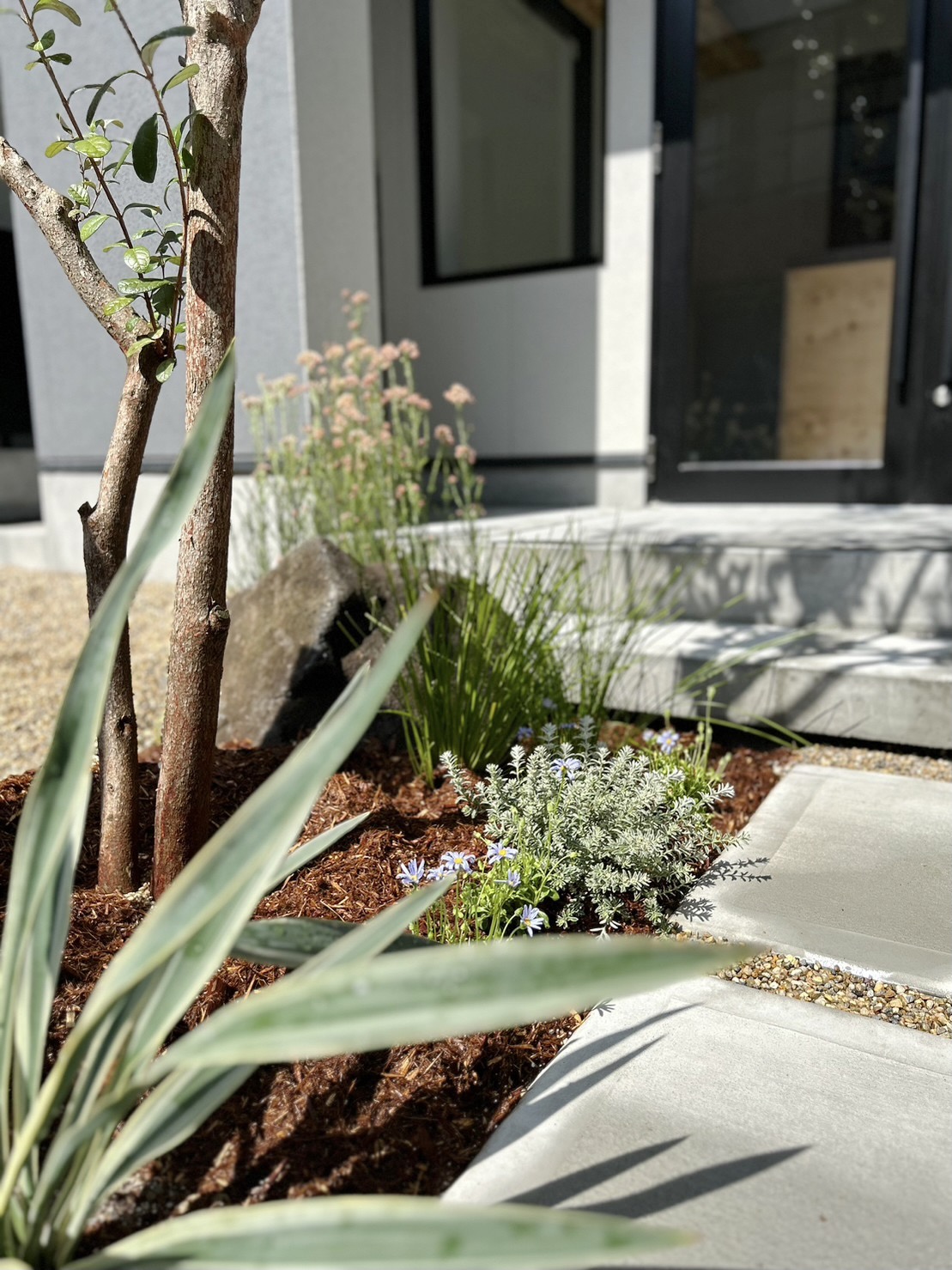 八尾市　ワイルドプランツが迎えるエントランス