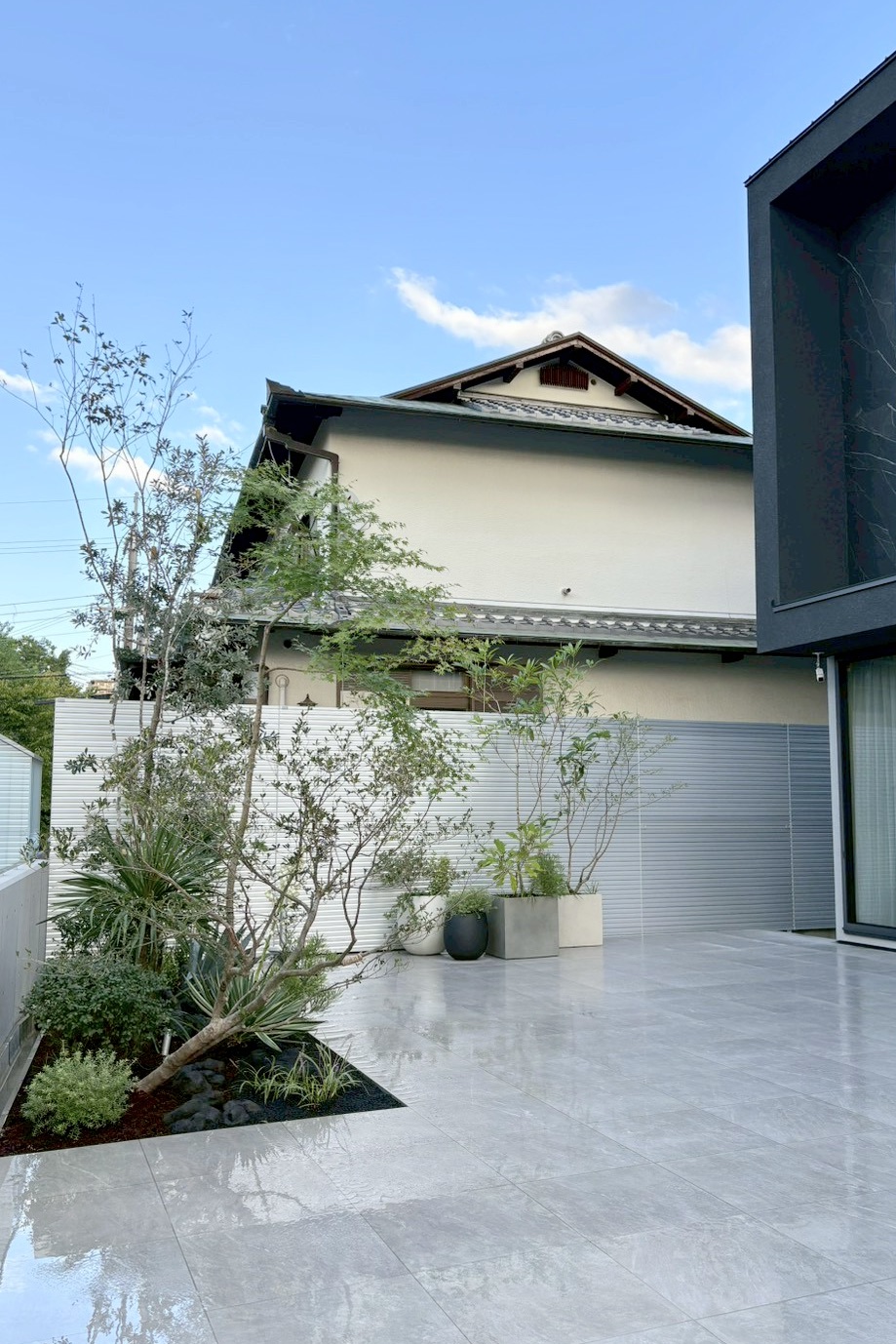 モミジ　オージープランツ　モダン　モダン住宅　タイルテラス　ガーデンデザイン　バンクシア　フリーダムアーキテクツ　植栽　植栽デザイン