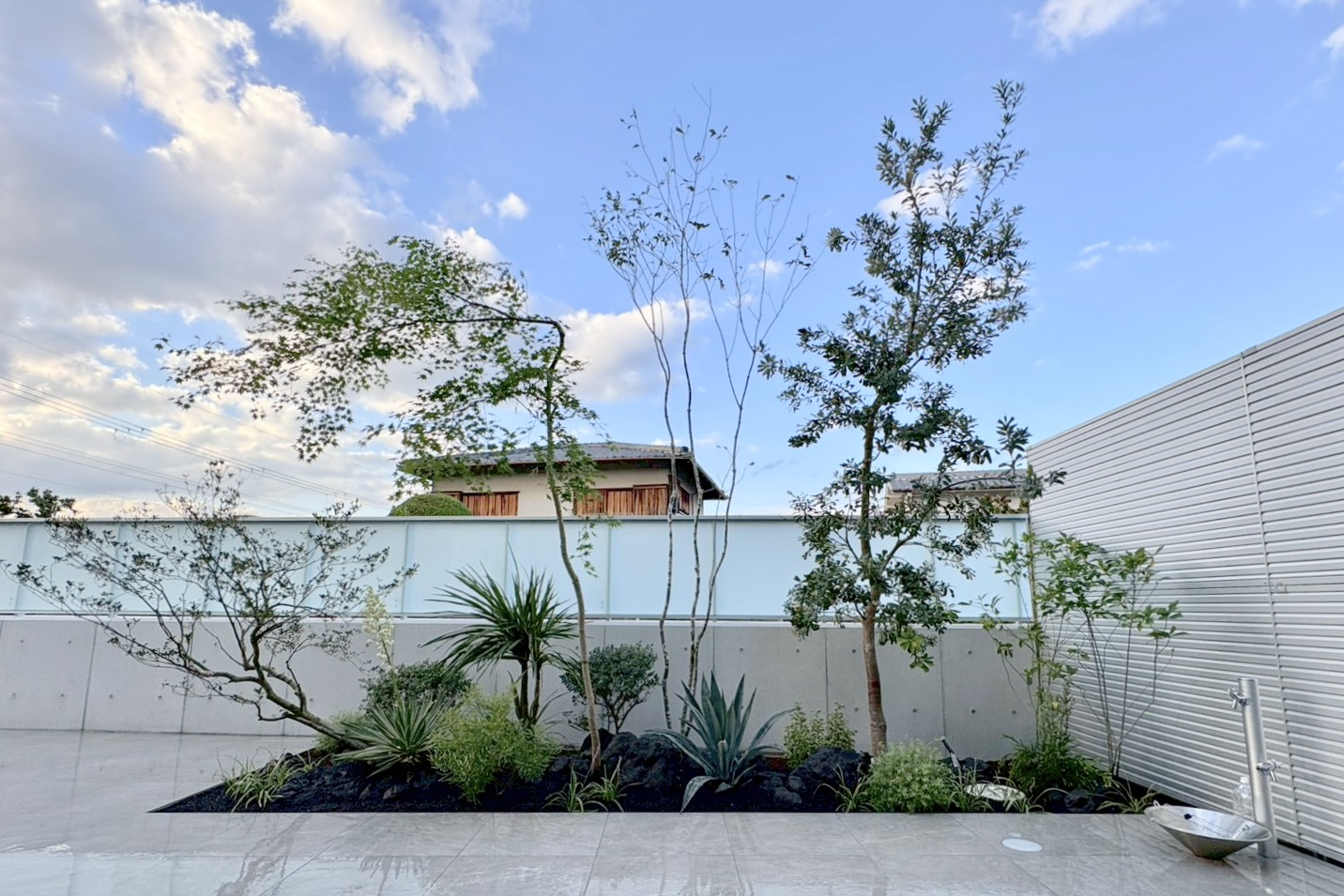 モミジ　オージープランツ　モダン　モダン住宅　タイルテラス　ガーデンデザイン　バンクシア　フリーダムアーキテクツ　植栽　植栽デザイン