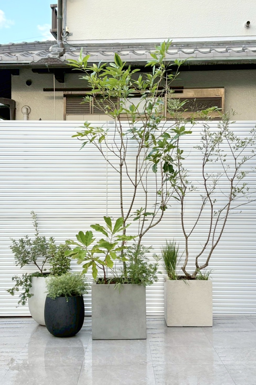 モダン　モダン住宅　タイルテラス　バンクシア　植栽　鉢植え